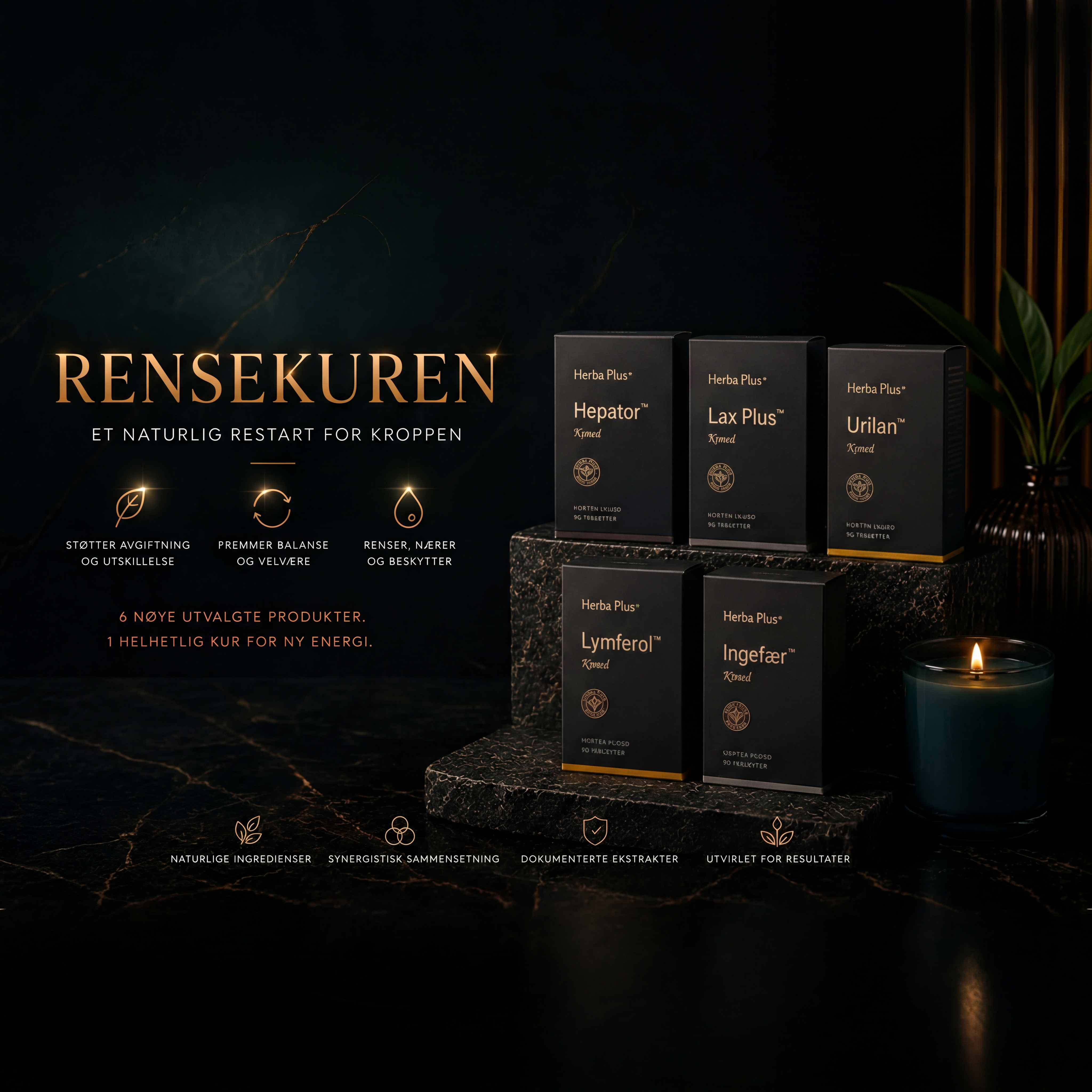 Herba Plus Rensekur