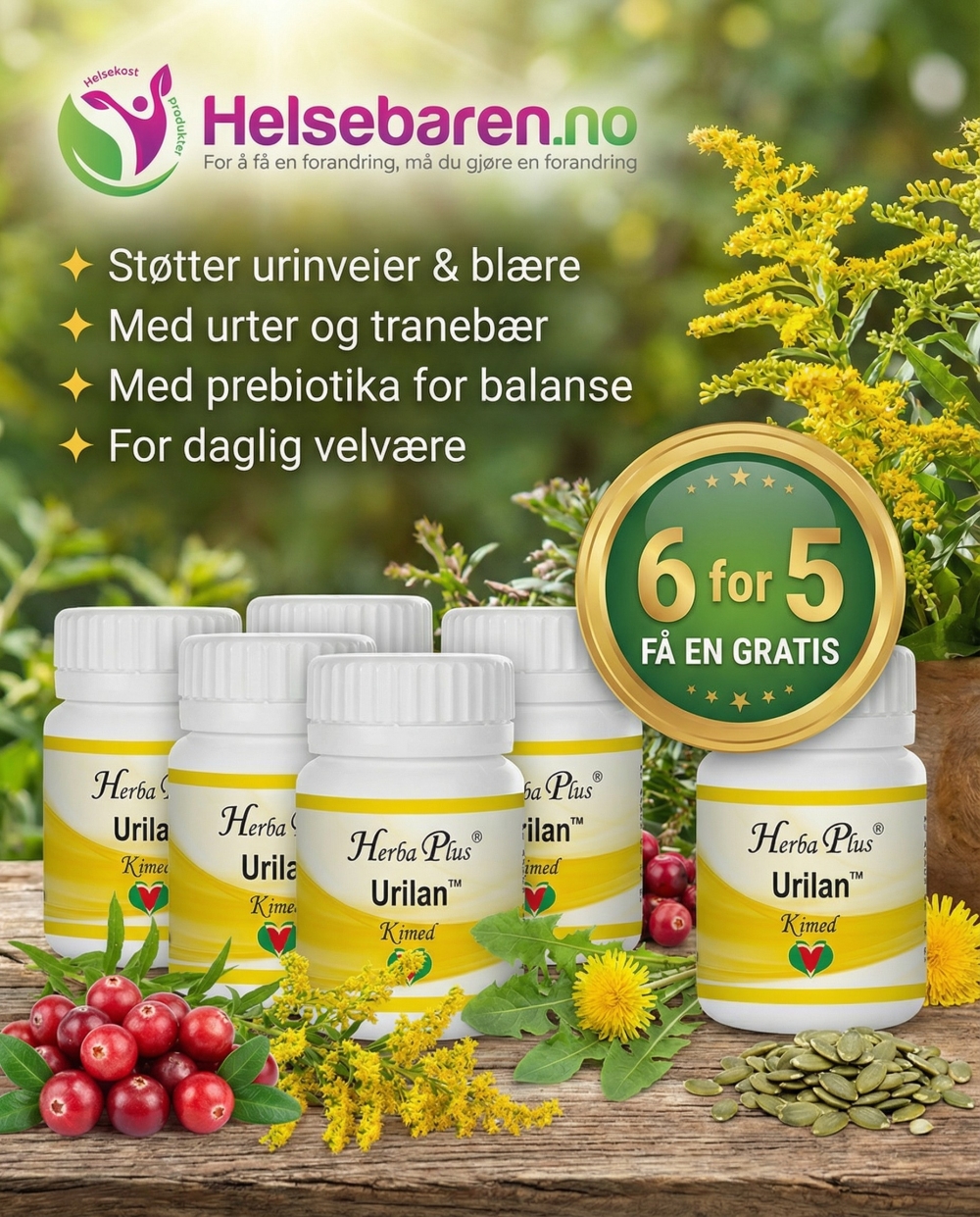 Urtepraparat for nyre og blære.