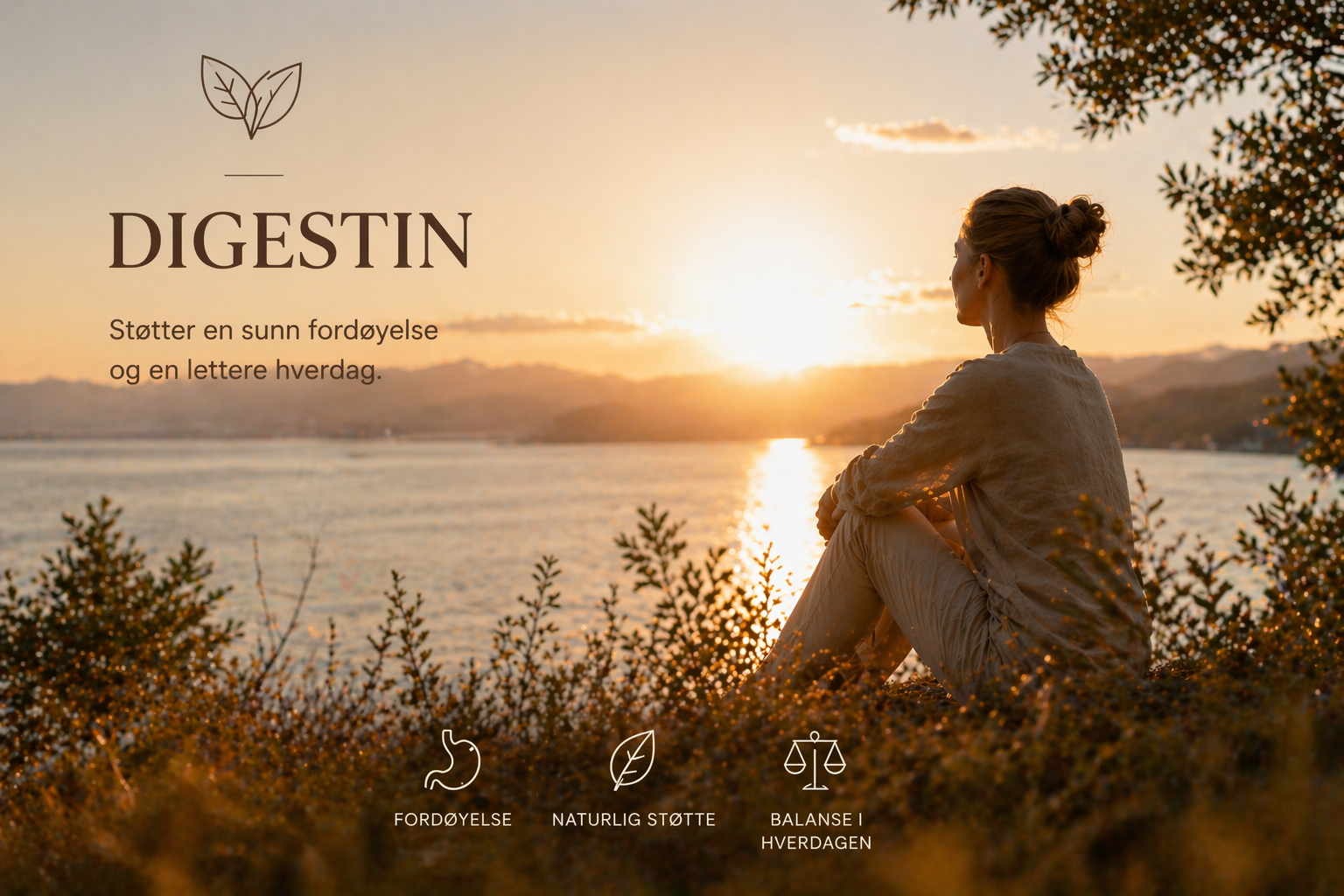Herba Plus Digestin -mage og fordøyelse- 6 for 5