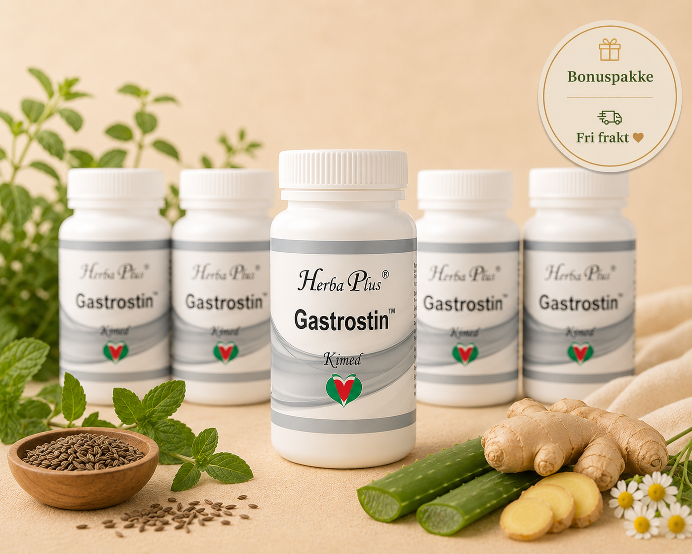 Herba Plus Gastrostin -for fordøyelsen- 6 for 5